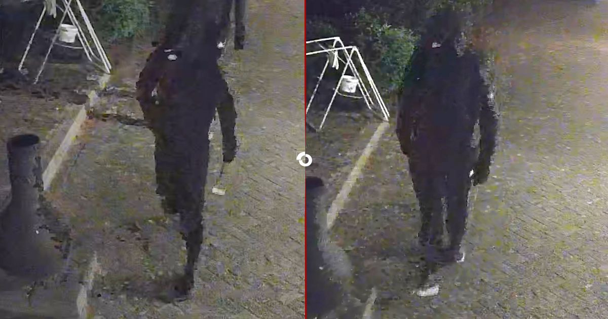 Dierenarts en zijn gezin thuis overvallen