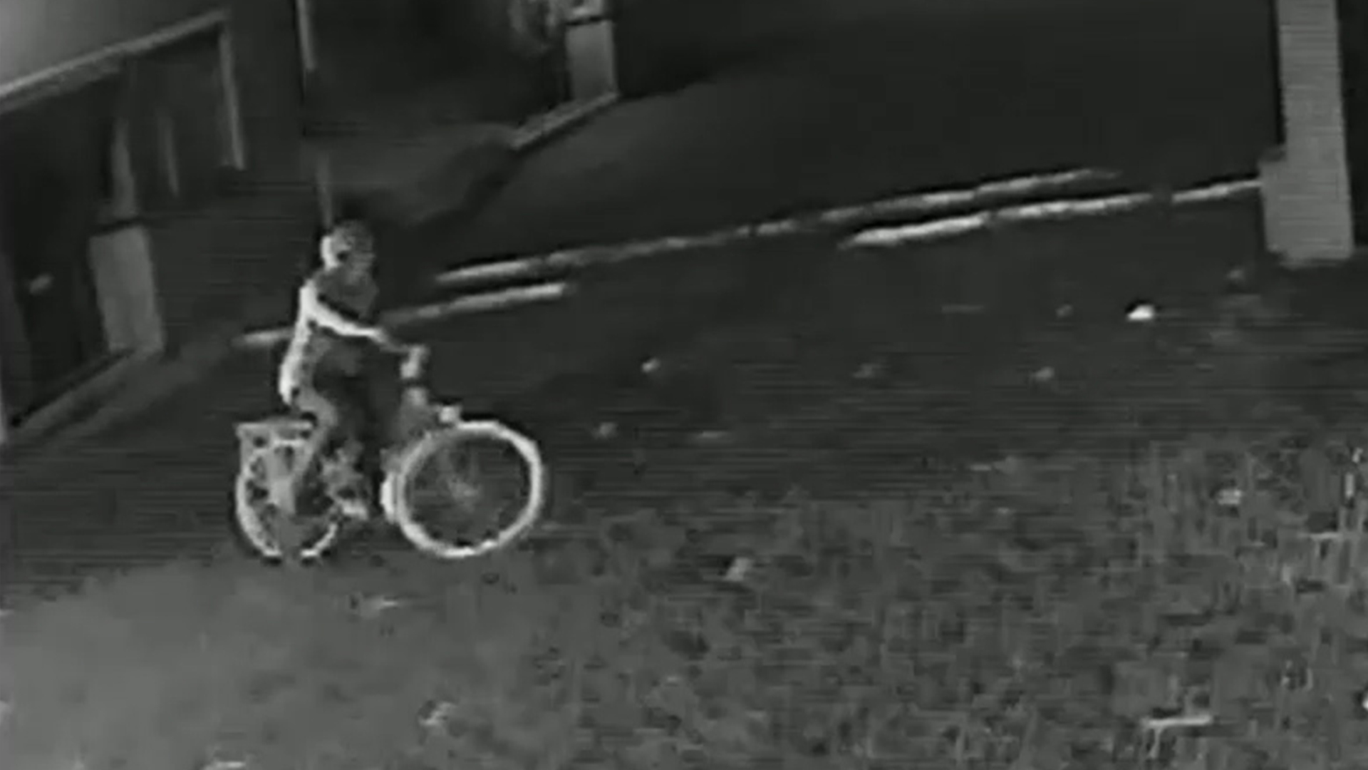 119341_den-haag_dadfietser.jpg