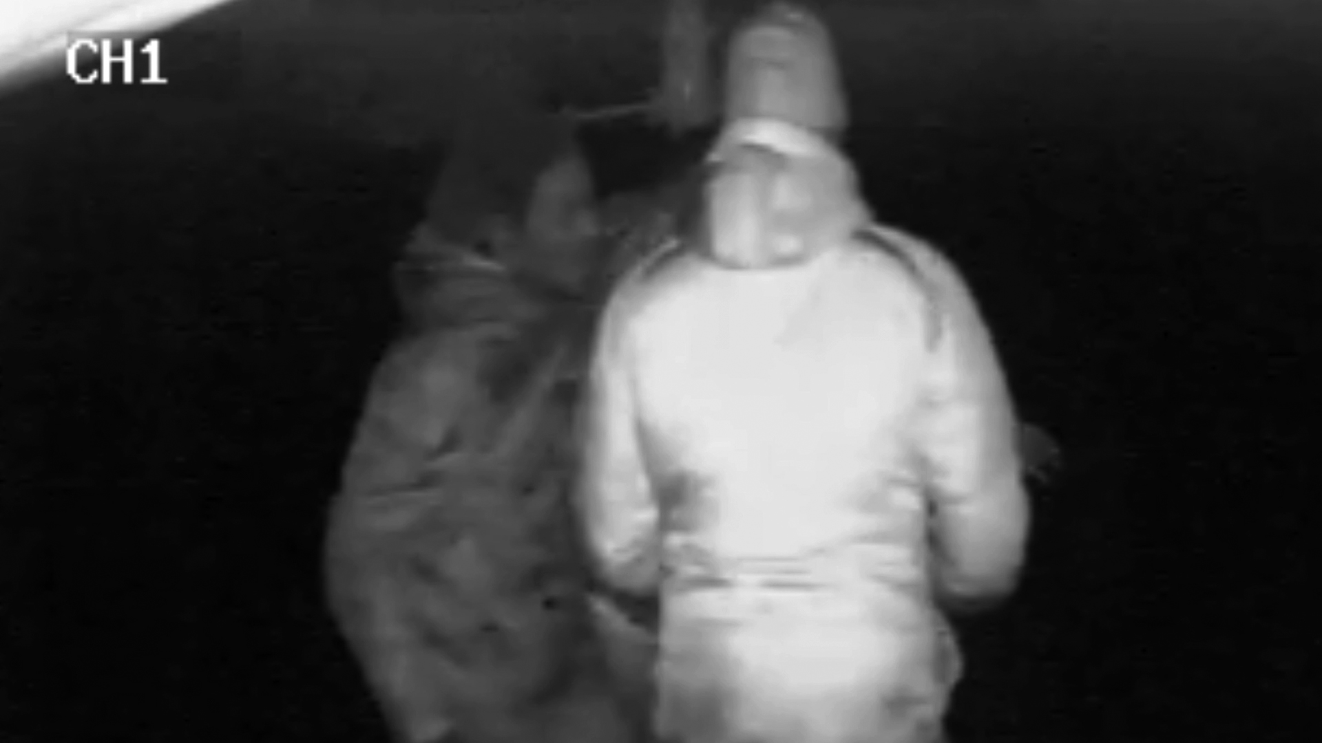 amstelveen_dadb.jpg