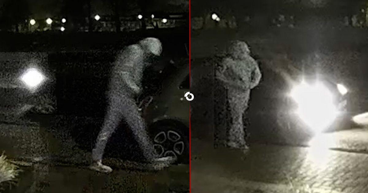 Auto’s gezin doelwit van vernielingen