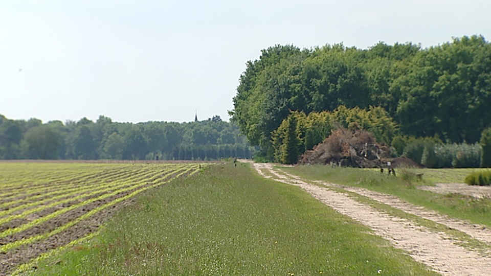 tcm17339251_large.jpg