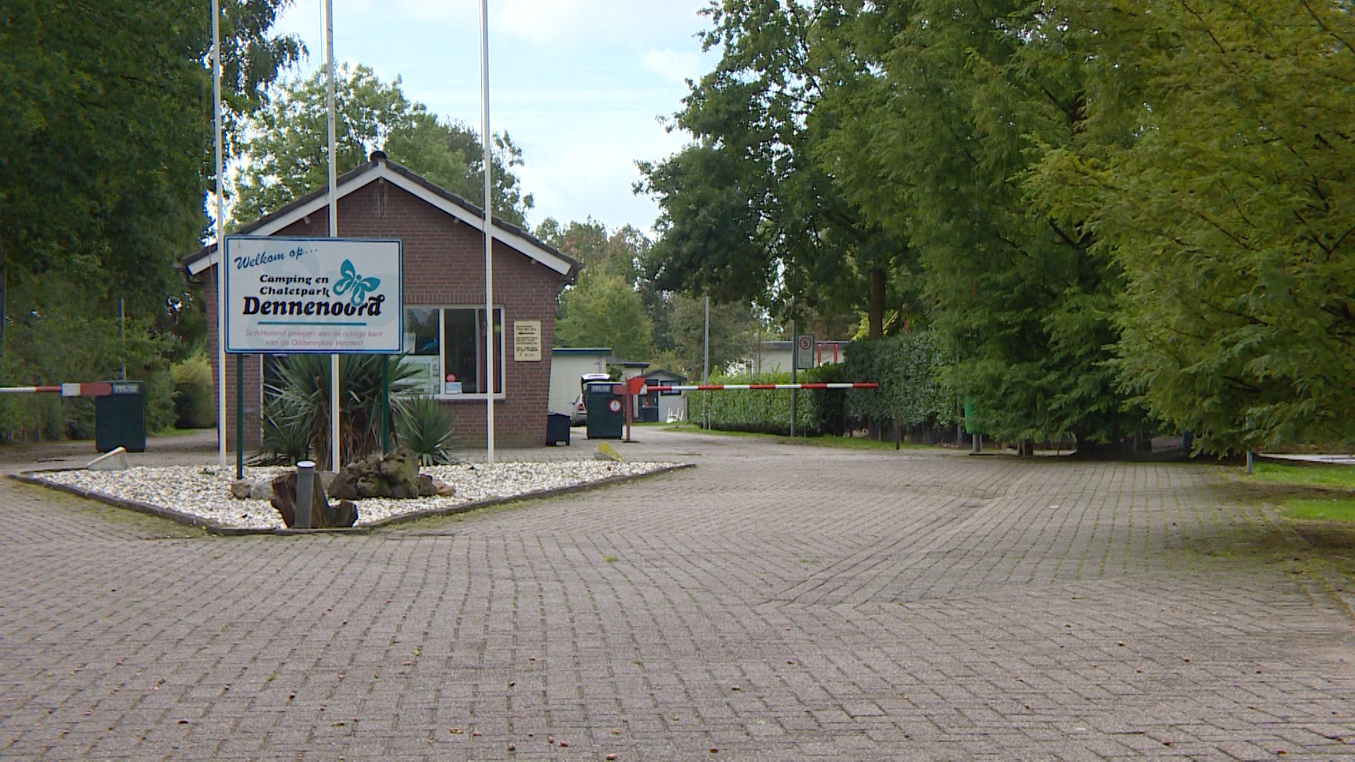 117424_dennenoord1.jpg