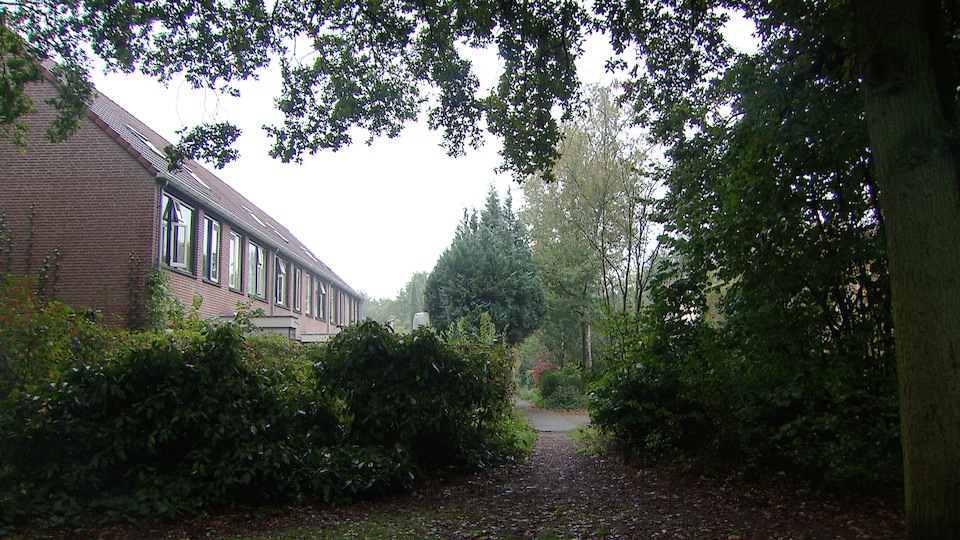 tcm17343419_large.jpg