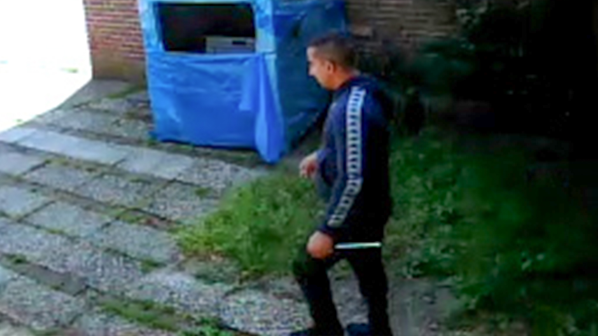 117440_dadd3.jpg