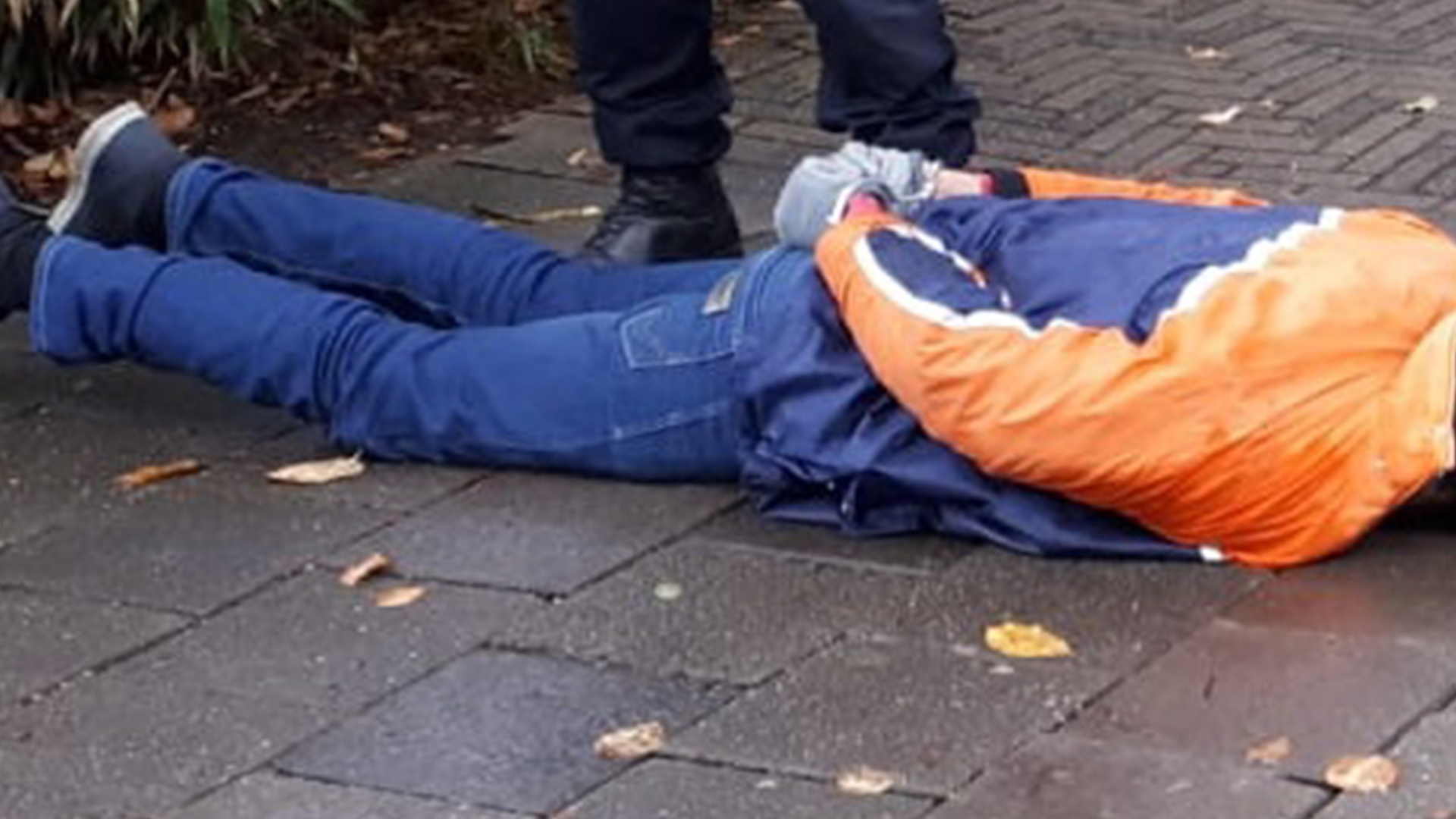 118441_amstrdm_sttsldn_verd_jas.jpg