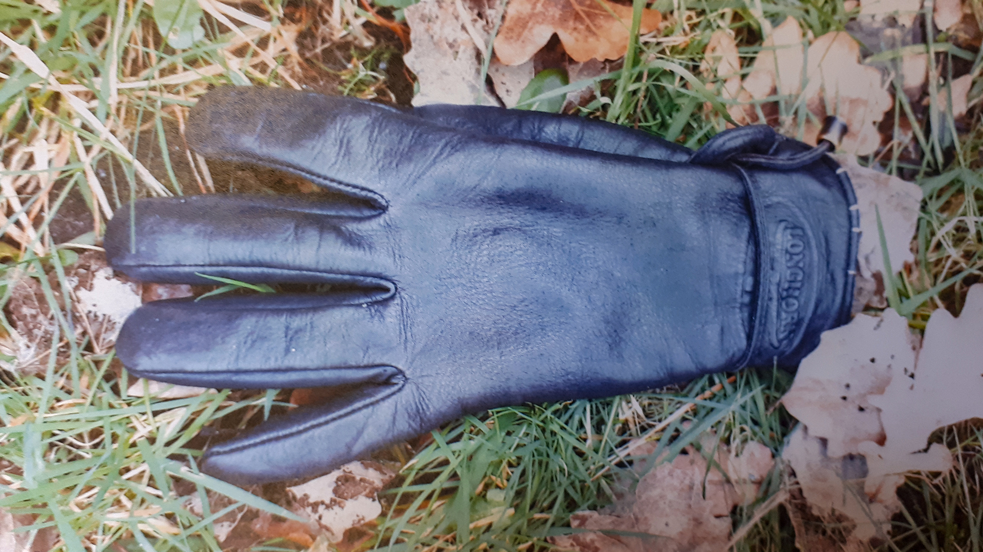 118282_drachten_handschoen1.jpg