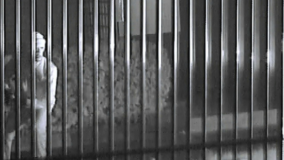 tcm17331795_large.jpg