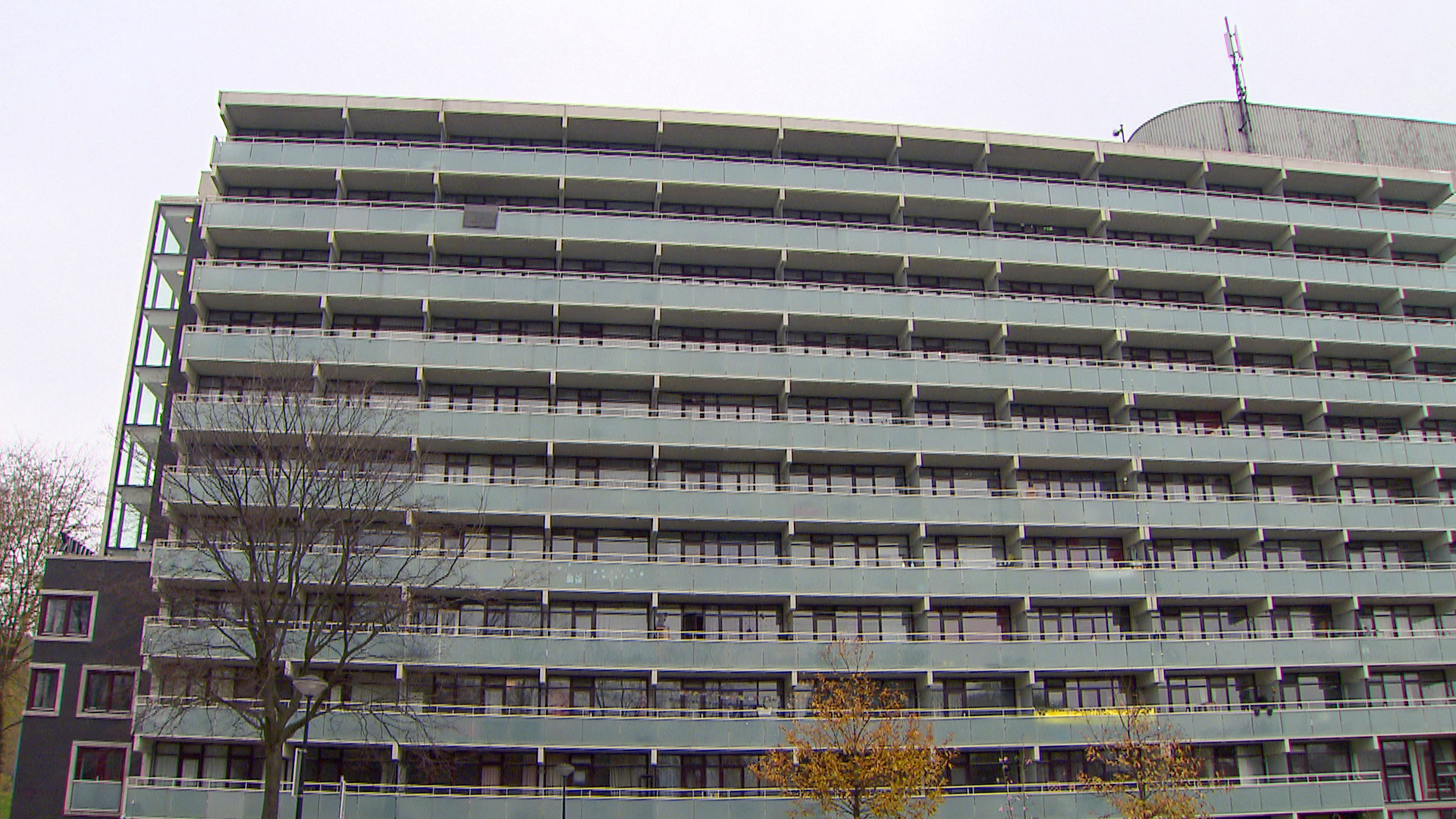 Amsterdam Studente Daalwijk Pd