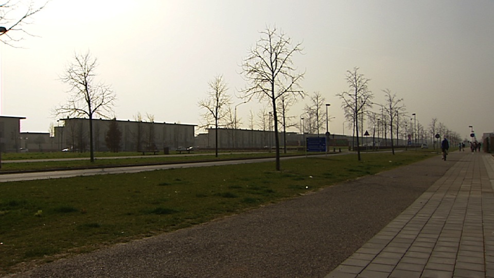 tcm17317446_large.jpg