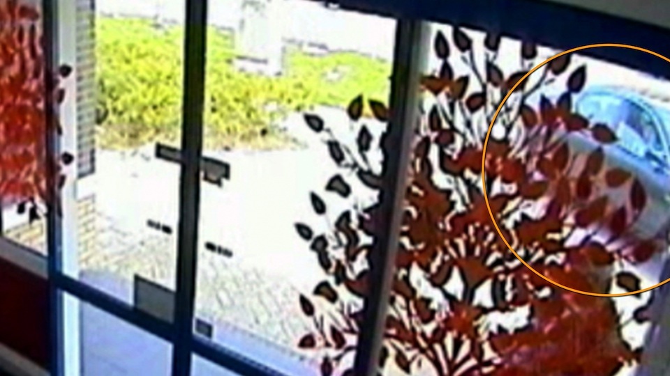 tcm17338713_large.jpg