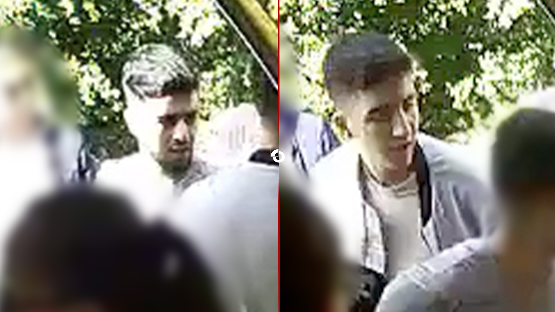 232481_denhaag_2luik2.jpg