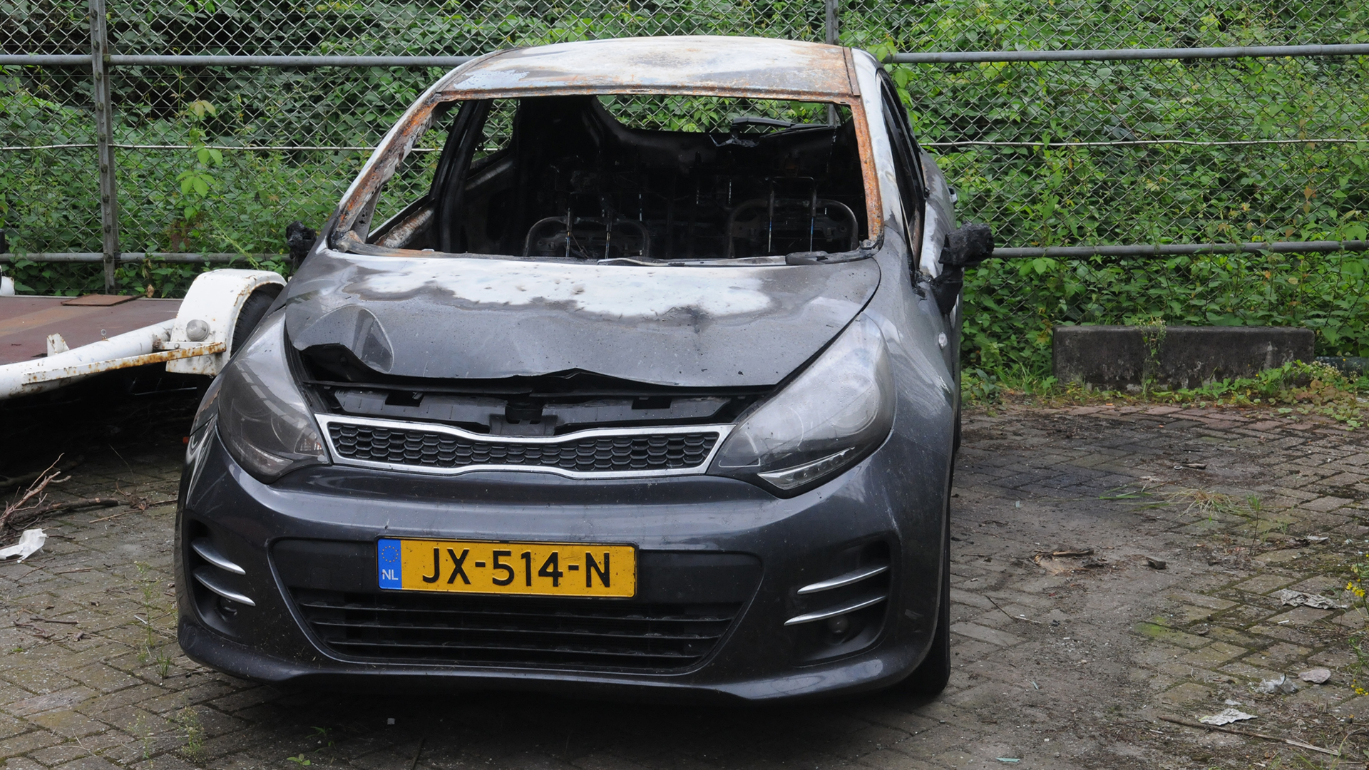 117505_kiabrand1.jpg