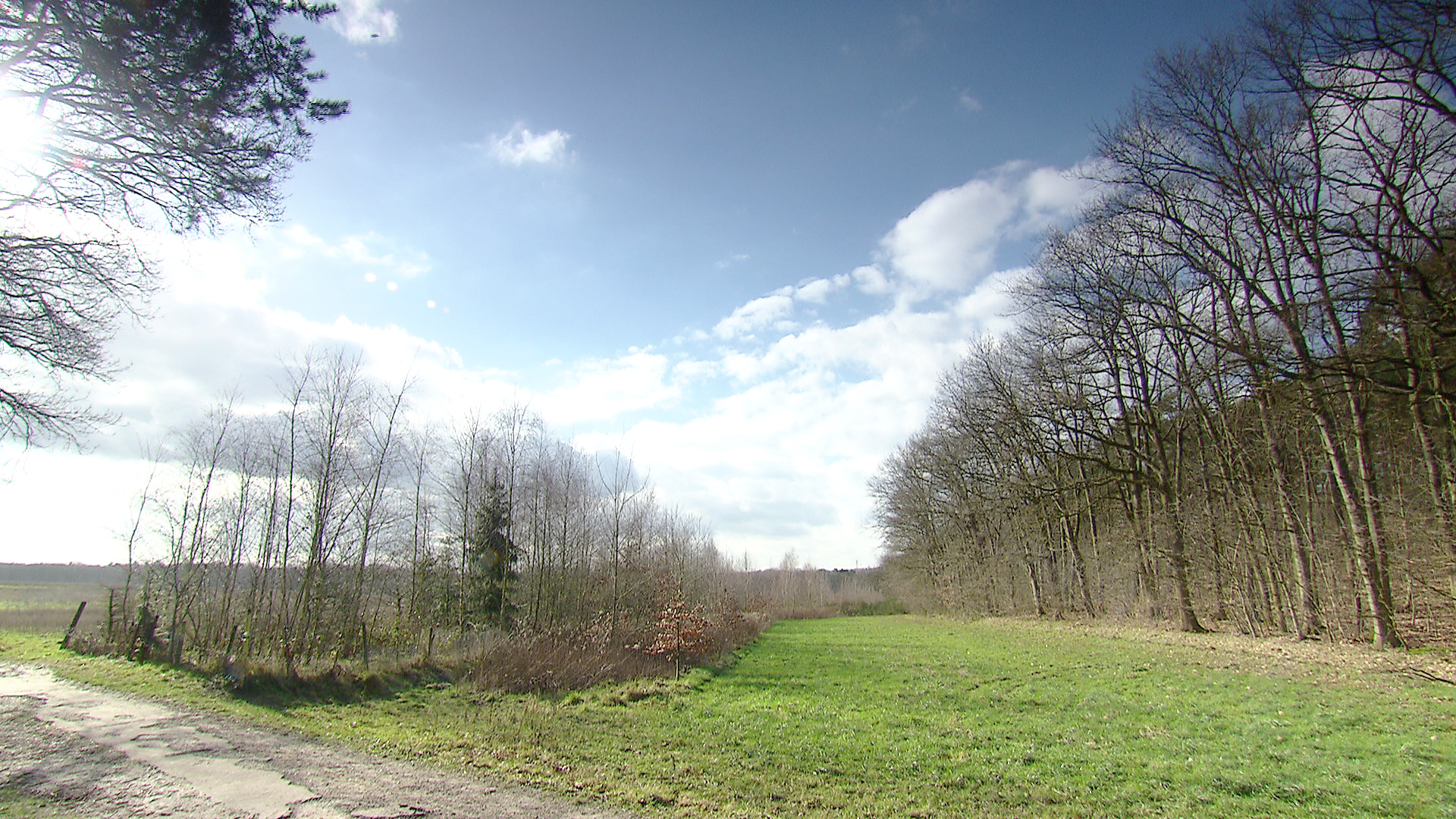 dnaonderzoeknikky_vindplek.jpg