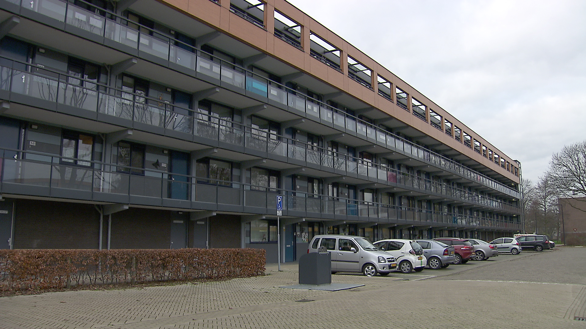 117561_vlaard_pd2.jpg