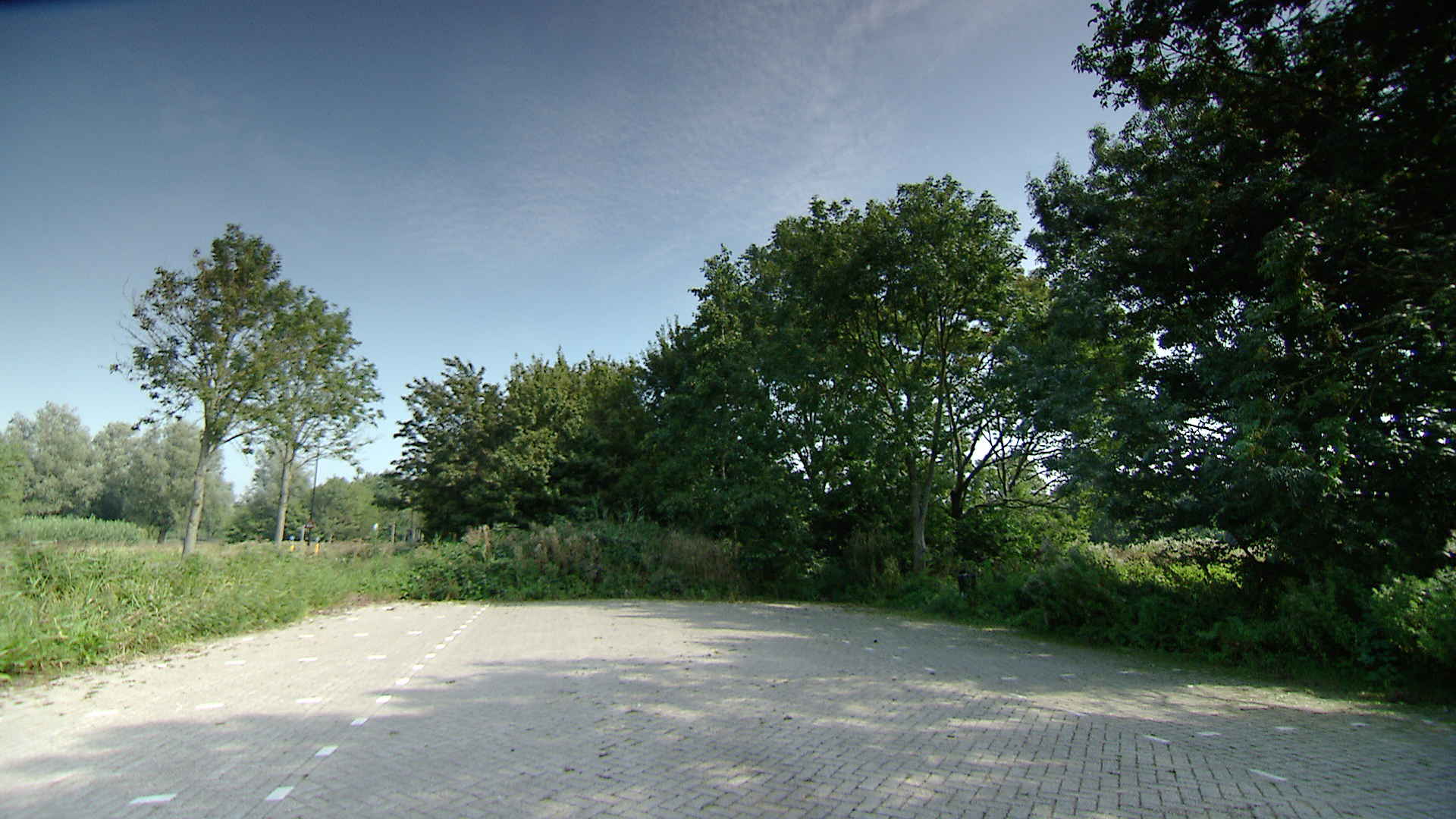 117379_kooijwegparkeer.jpg