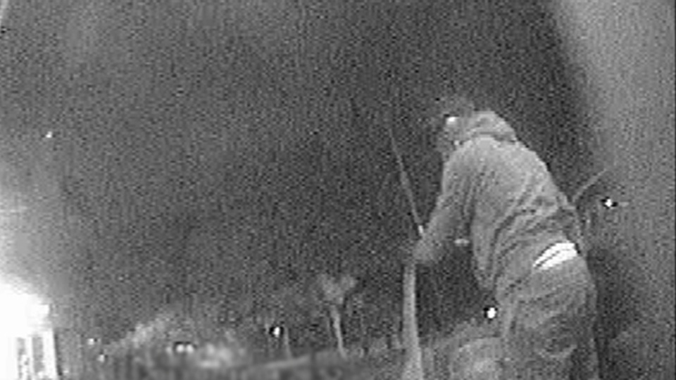 tcm17302563_large.jpg