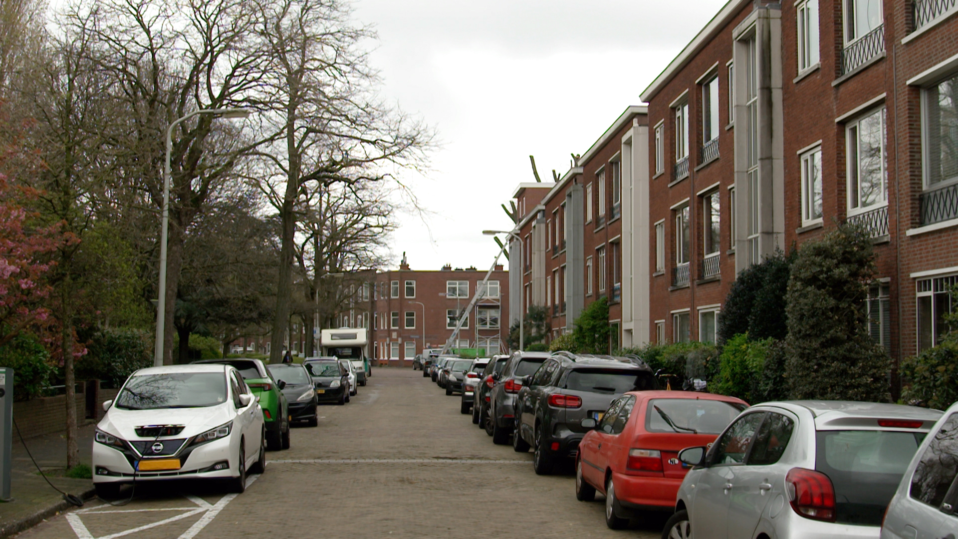 242144_dnhg_pd1.jpg