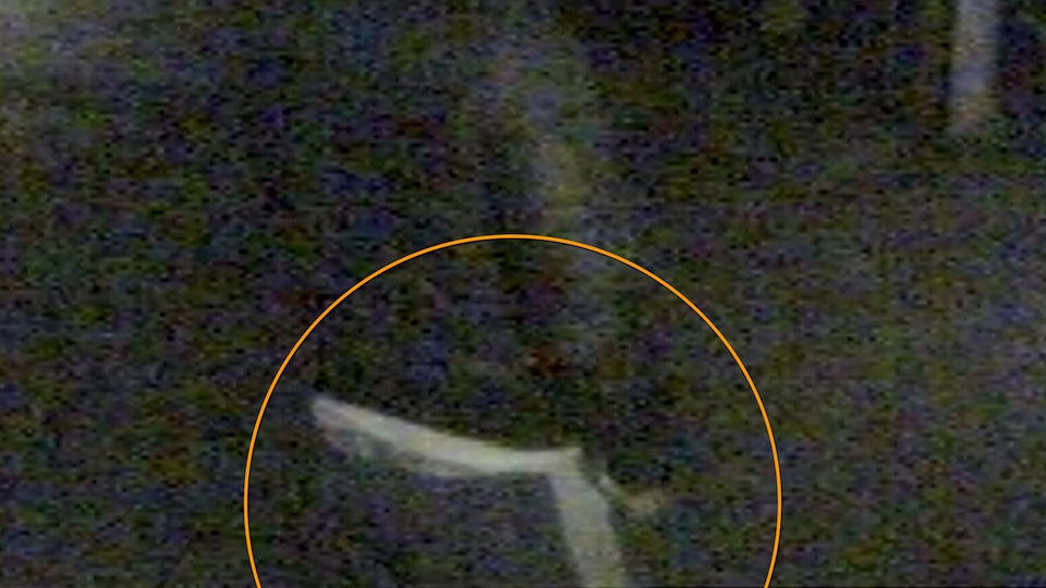 tcm17334461_large.jpg