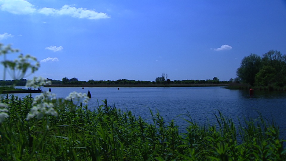 tcm17299100_large.jpg