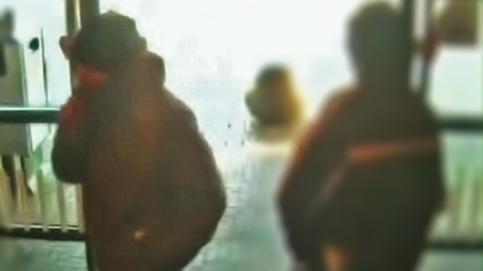 tcm17304545_large.jpg