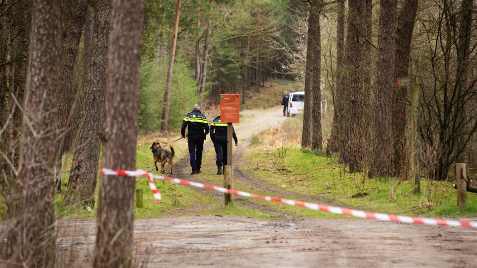 tcm17348784_large.jpg