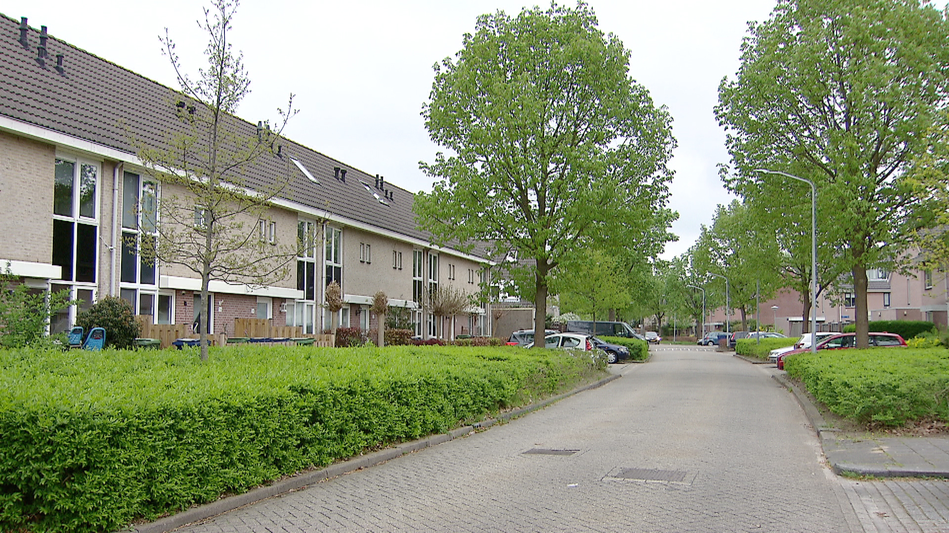 118204_almereweesp_straatpdalmere.jpg