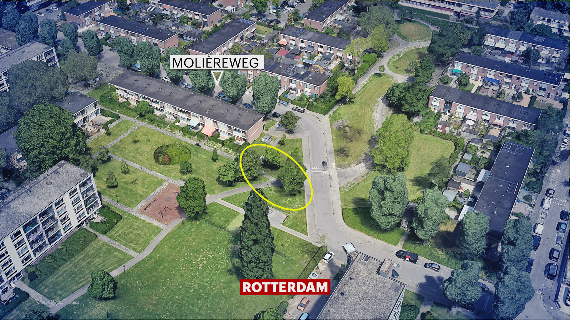 232394_rotterdam_pd.jpg