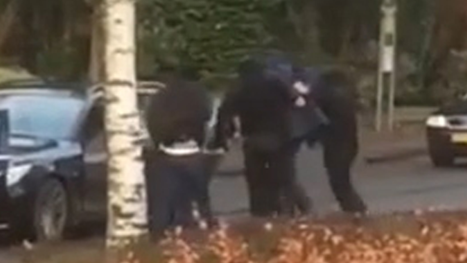 nunspeet_hoofdfoto_ontvoering.jpg