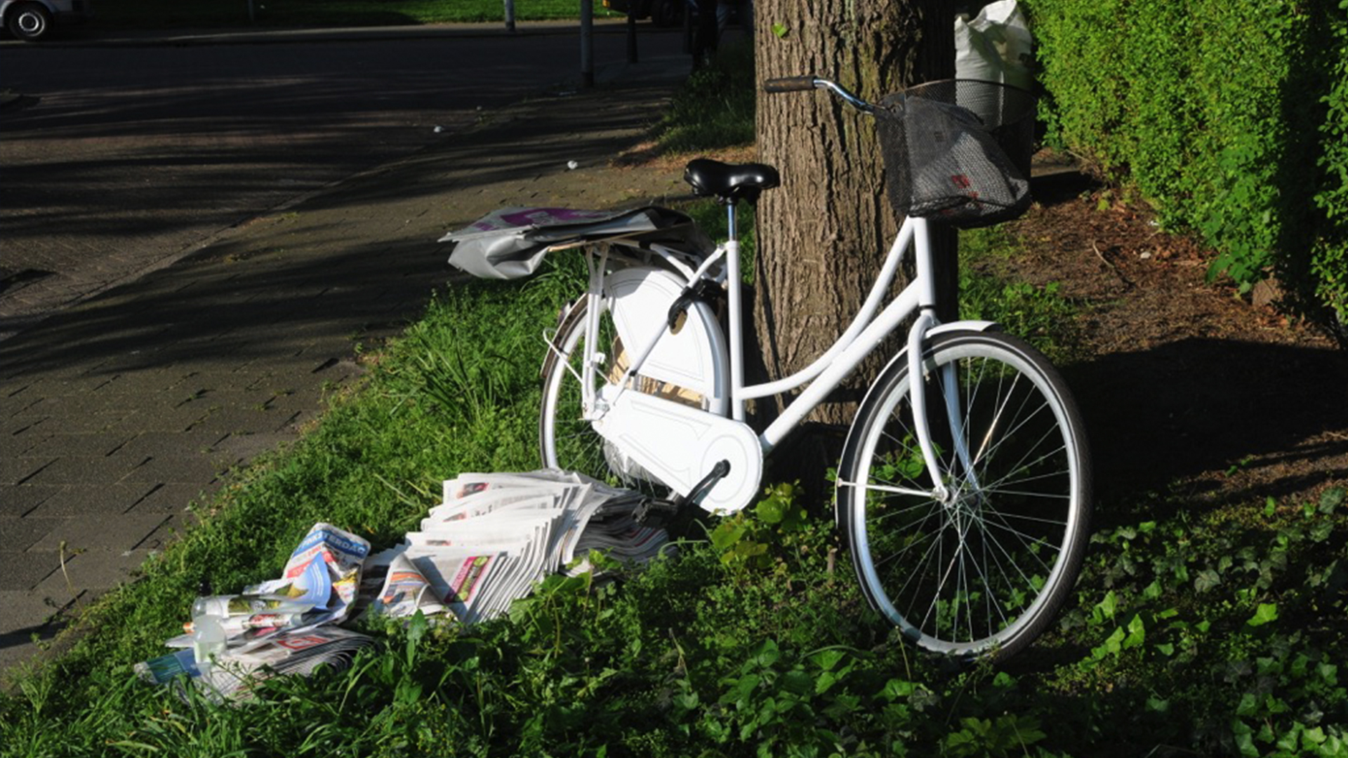 rdam_420x347.jpg