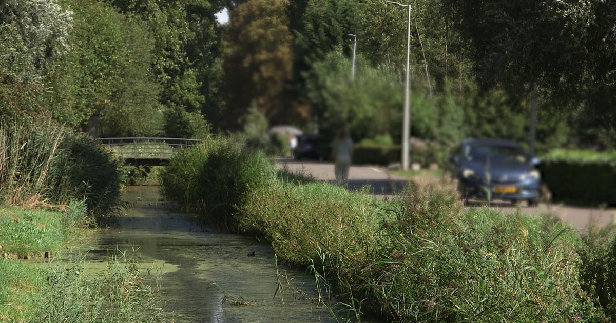 Meisjes en vrouwen belaagd door scooterrijder