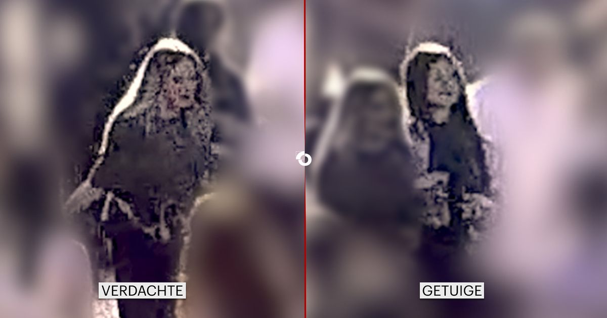 Politie zoekt getuige van mishandeling vrouw