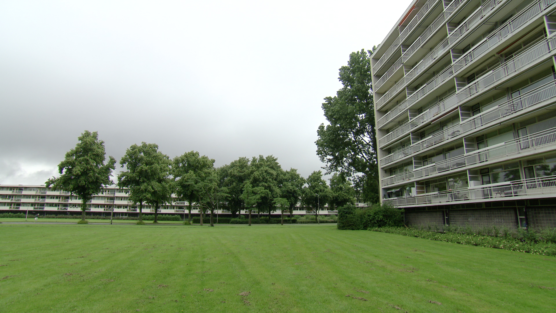 amstelveenkoreaansejongen_grasveld.jpg