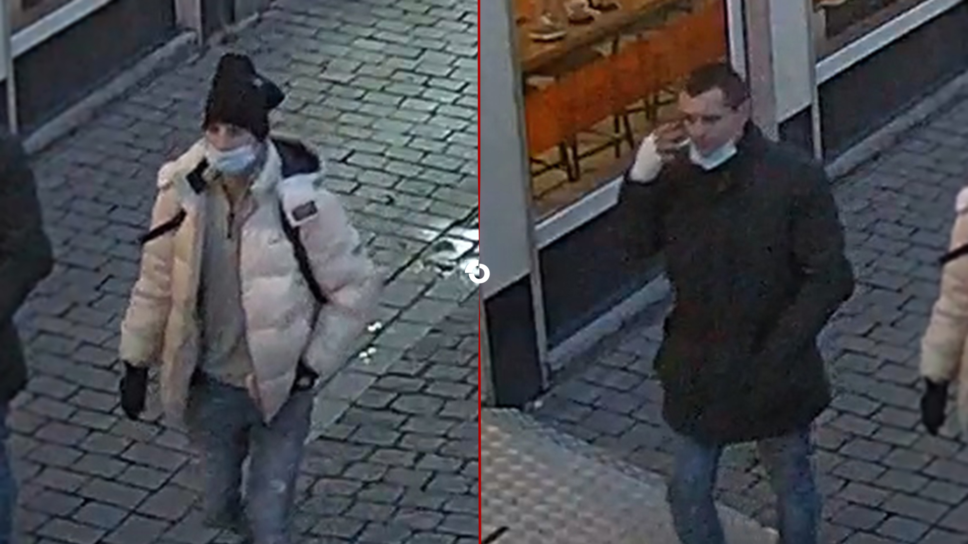 222088_BergenZm_2luik.jpg