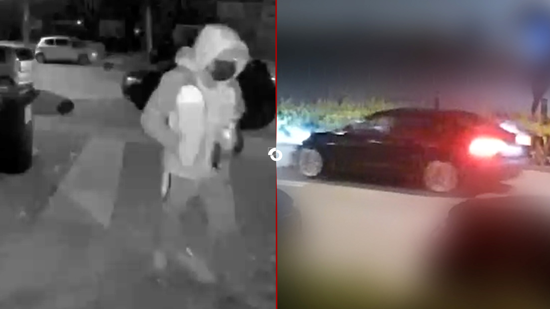 252454 Papndrcht Tsr