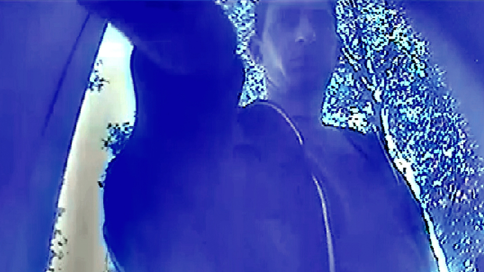 tcm17348519_large.jpg