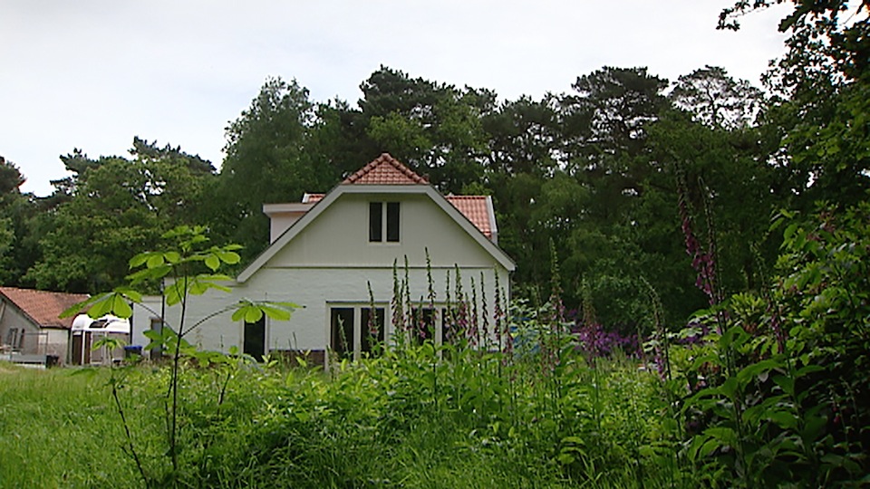 tcm17339950_large.jpg