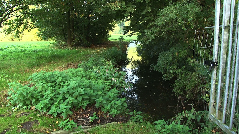 tcm17327600_large.jpg