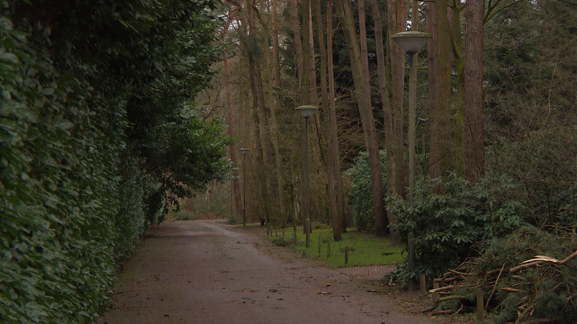 160276_acacialaan.jpg