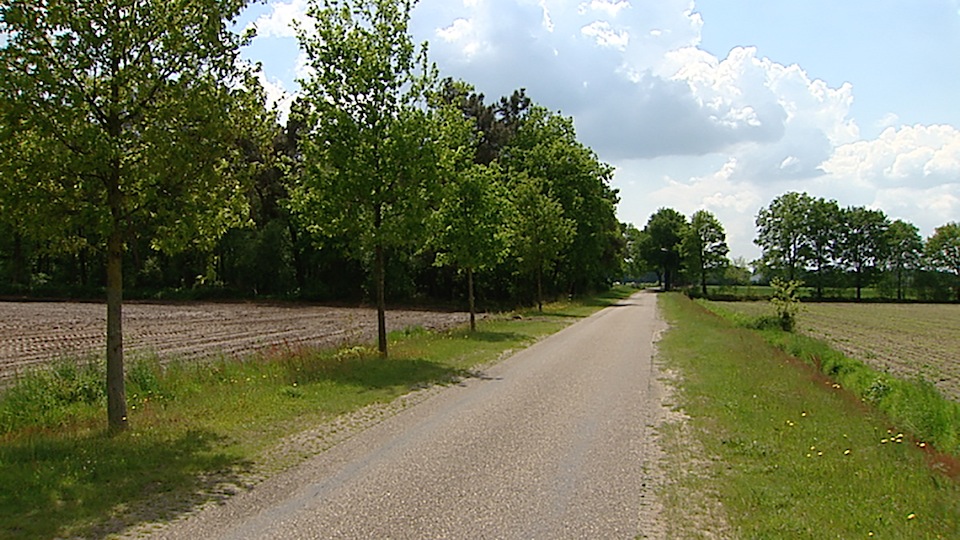 tcm17339254_large.jpg