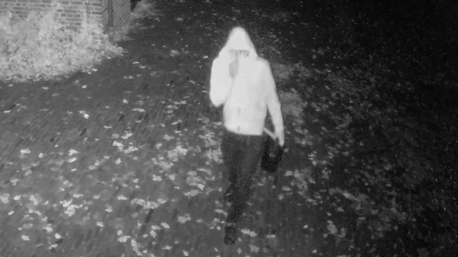 222498_someren_dada.jpg