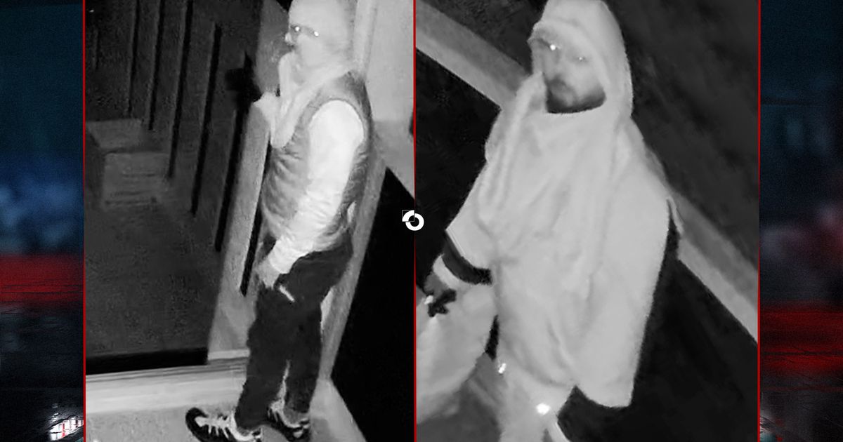Vleesdieven vermoedelijk achter vijf inbraken