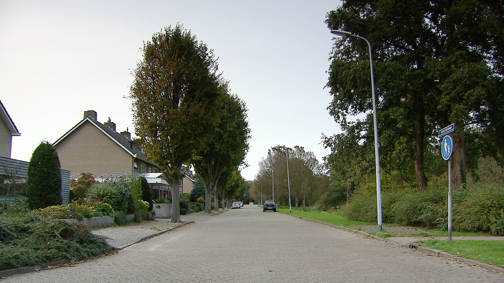117475_marialaan.jpg
