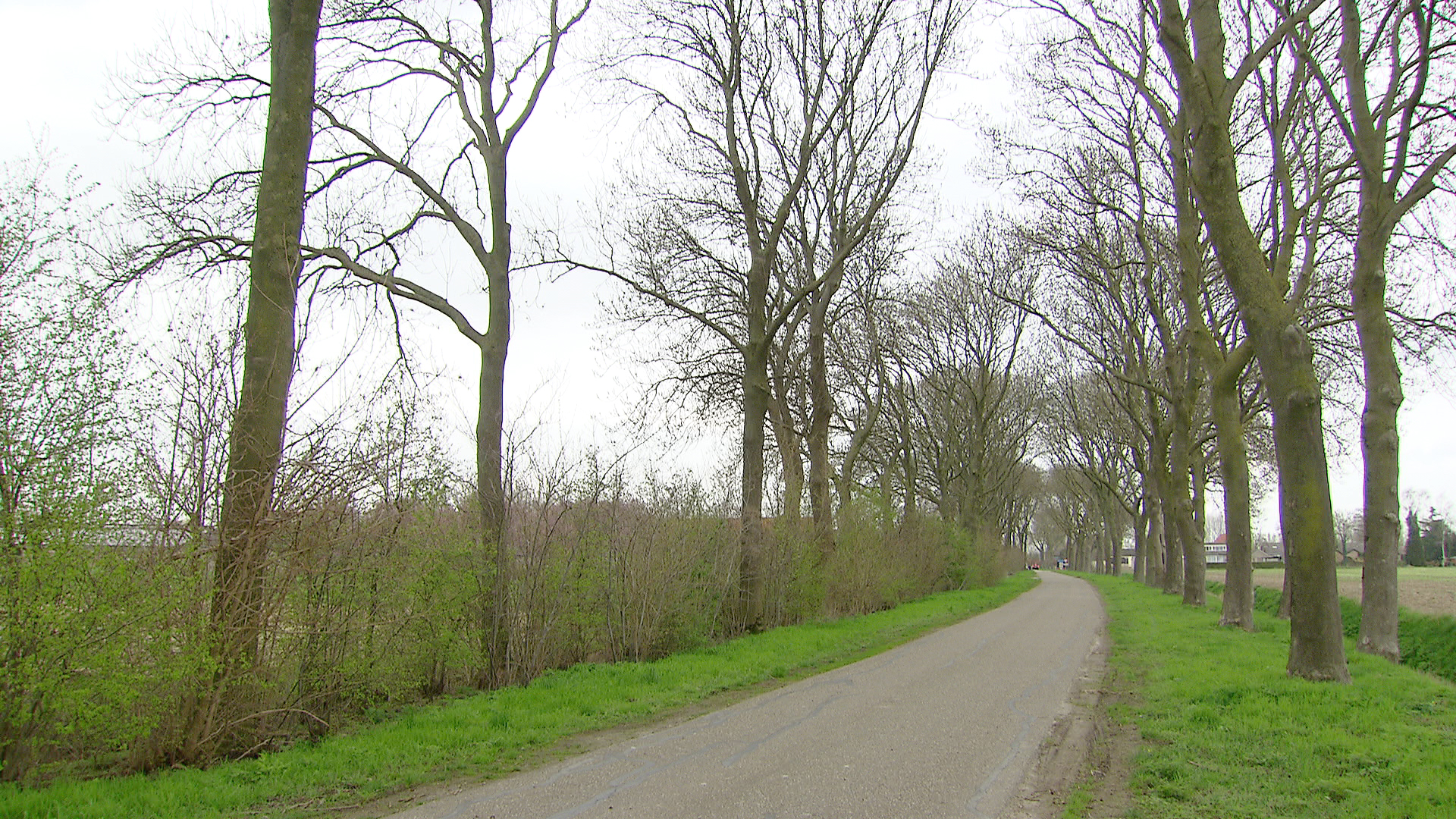 119170_maren-kessel_wijlseweg.jpg