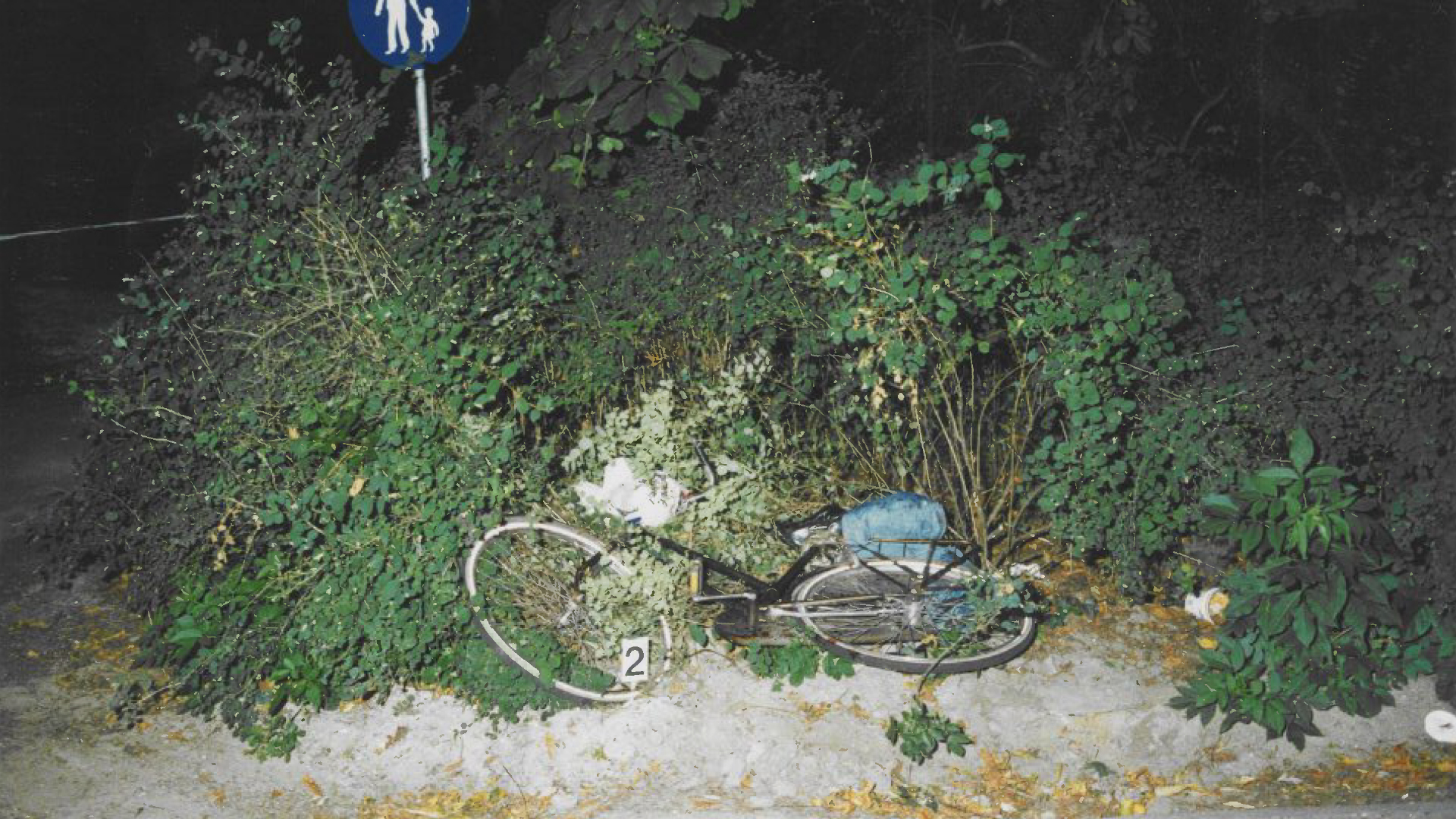 118352_delft_cc-wb_fiets2.jpg