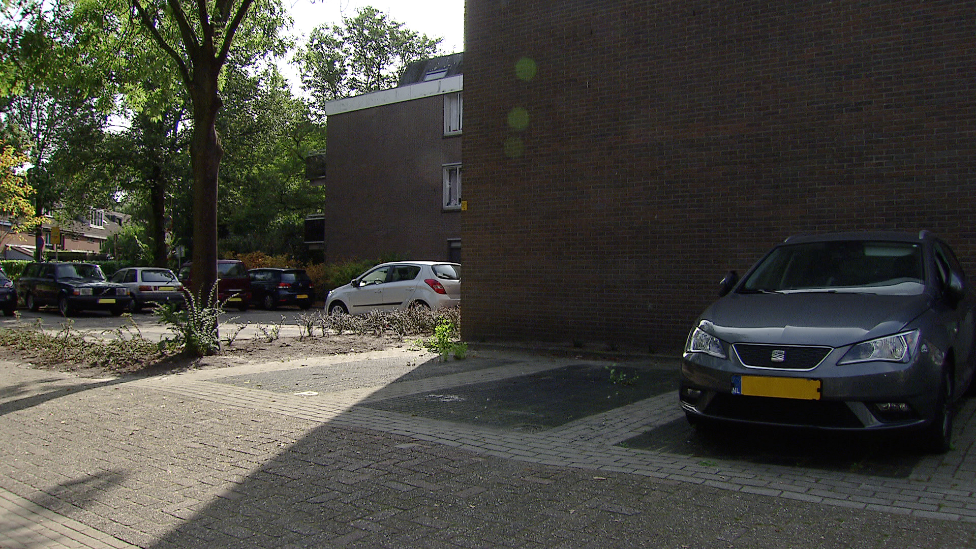 amsterdam_elco_pelmolen.jpg