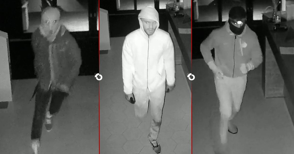 Havenhotel de dupe van inbrekers