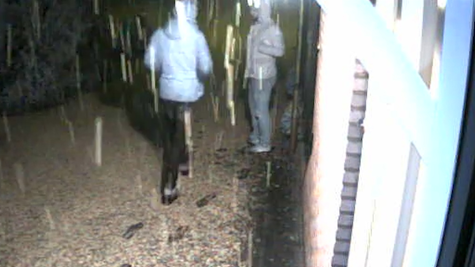 118274_warnsveld_daders1.jpg