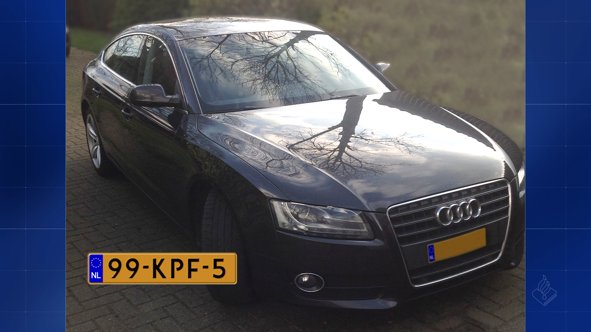 samirelbartaliwhiteroom89_audi1kenteken.jpg