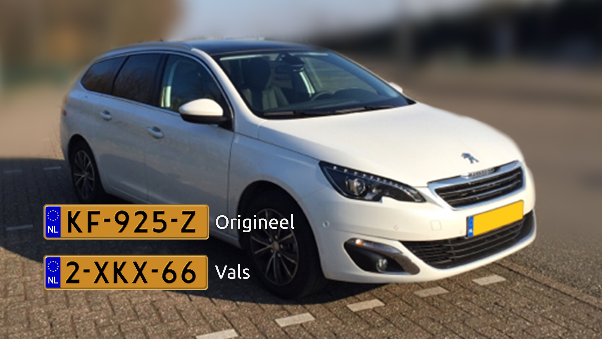 118233_delft_nw_peugeot308.jpg