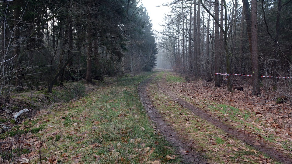 tcm17337450_large.jpg